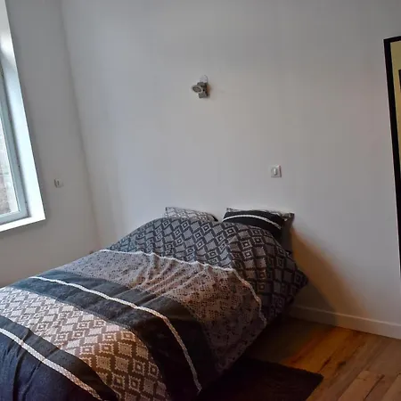 Coliving Confort- Les Lille-maison Partagee-7 Chambres-5 Sdb-6wc-loos Les Lille Loos